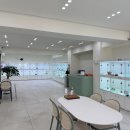 보령생활건강(주) | 보령강아지분양 미유펫 고민 끝에 방문하게 된 솔직 후기