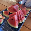 원진축산 | 경주 성동시장 맛집 보배김밥 원진찹쌀순대 떡볶이 양포문어 총각네축산 닭강정