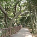 오동도 산책로입구 이미지