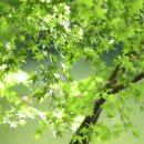 마음을 울리는 오카리나 이미지