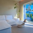 스테이 동물병원 이미지