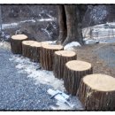 예원캠핑장 이미지