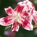 종로3가역(1) 이미지