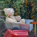 하율농장 이미지