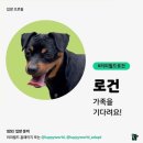 월드쉼터