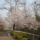 서곶공원 이미지