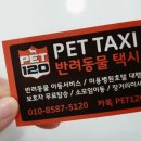 펫120 이미지