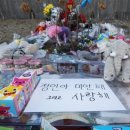 정인청과