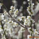 백운산마을 이미지