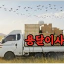 대전용달