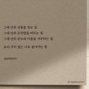 다가치 이미지