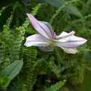 새해 농업인 실용교육 | 2026년 새해농업인실용교육 / 농업인 리더과정