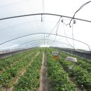 베리하우스 이미지