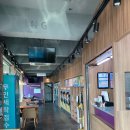 월드크리닝코인월드부산특수세탁점