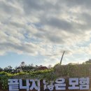 엑스포카센타 이미지