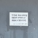 25년 3월