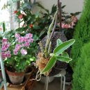 석곡농장 이미지