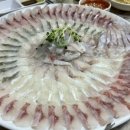 화려한싱글주점 네이버블로그