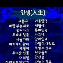 수진이네세탁