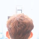 헤어빈 네이버블로그