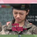 털뭉치들 이미지