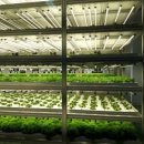 연일농장 이미지