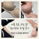 [내돈내산] 여름 맞이 원더브라 썸머 레이스 5set 구매 후기: 가볍고 시원한 심리스 감성 속옷 추천