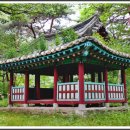 추월정秋月亭 네이버블로그