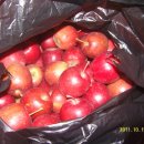 안산 시민시장 이미지