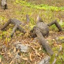 다무락마을 쉼터 이미지