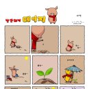 낭만돼지 이미지