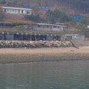 등나무집민박 이미지