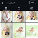 비다움BE:DAUM 이미지