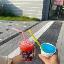 오렌지팟 이미지