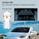 자율