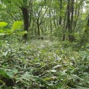 번암면사무소 이미지