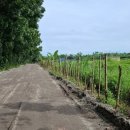 김수복농장 이미지