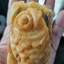 김남영 | 26년 코라아 스노우 트레일 13k 태백