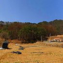 홍천군 두촌면 괘석리 용소계곡 전원주택지 1억 이미지