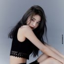 사쿠라
