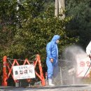 영동양돈영농조합법인 이미지