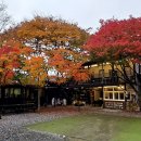 고산촌닭 | 천등산