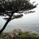 명학초등학교 이미지