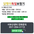 동산경로당 | 사하구 보청기 | 추석 효도 선물, 부모님 보청기 준비하셨나요?