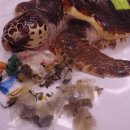 국립생태원동물병원 이미지