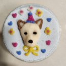 독구제과 이미지