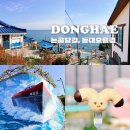 등대오름길 | [강원도 묵호] 논골담길 1,2, 3길, 말똥도나스,바람의언덕, 등대오름길,무코야선물가게