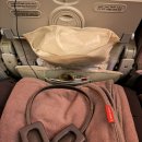 항공세탁 | 두바이, 몰디브 신혼여행 - 에미레이트 항공 이코노미 좌석 꿀팁, 기내식 후기