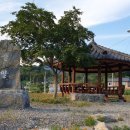 한반도면사무소 이미지