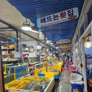 대복호 | 속초 외옹치항 횟집 '대복호횟집' 내돈내산 솔직후기